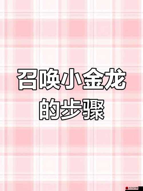 深入解析，小金龙在不同语境与文化背景下的多元化含义与用途探讨