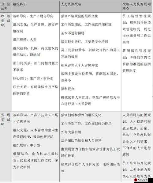 2025蛇年新春攻略，快速升级与最大限度利用资源的有效策略与实践